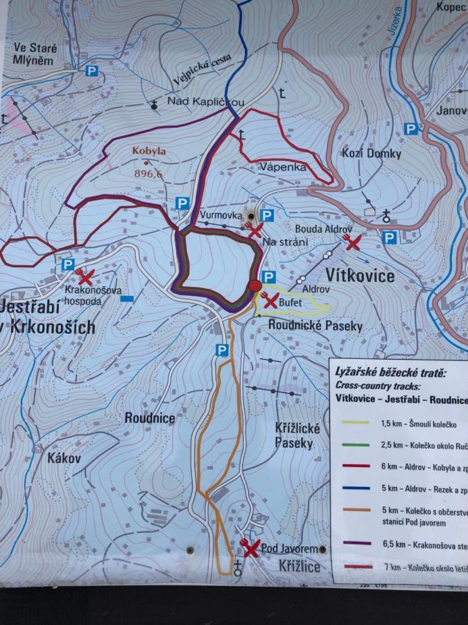 فيلا Roubenka Bratrouchov جابلونك ناد جيزيرو المظهر الخارجي الصورة